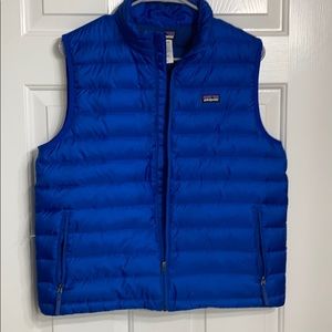 Electric blue Patagonia vest